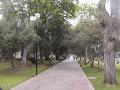 DSC00031