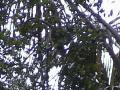 DSC00040