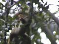 DSC00041