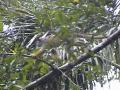 DSC00043