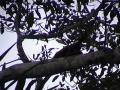 DSC00050