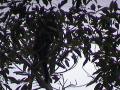 DSC00051