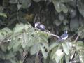 DSC00062