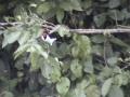DSC00064