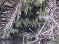 DSC00066