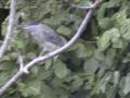DSC00073