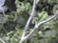 DSC00074