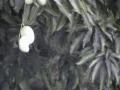 DSC00083