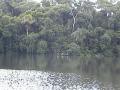 DSC00104
