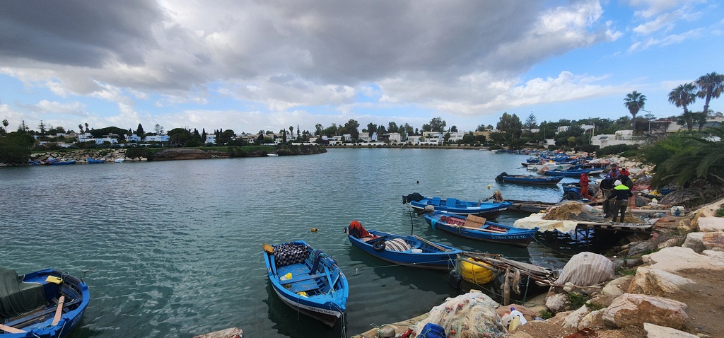 Fishing Boast near Point of Carthage by the Sea.