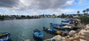 Fishing Boast near Point of Carthage by the Sea.