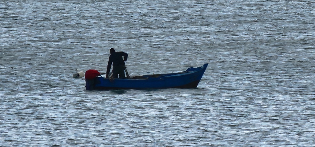 Fisherman collecting his catch in Punic Ports of Carthage.