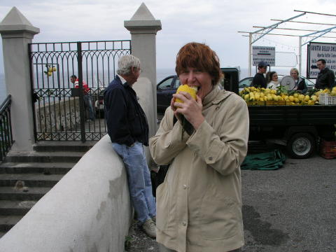 The Giant Lemons