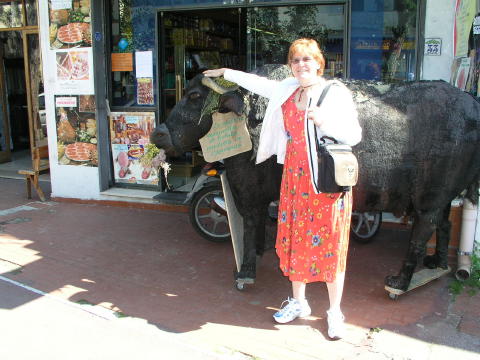 Along the streets in Ischia Porto