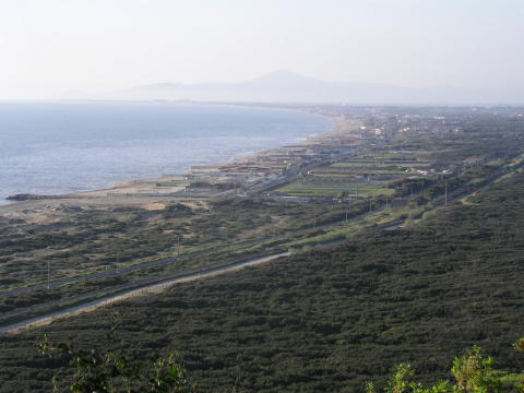 Licola