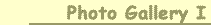 Photo Gallery I