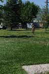 20100814_134942_2098