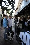 Do you accept dogs?