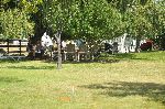 Patio under the willow tree