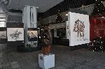In the Recova area -Polo Art display