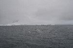 20111214_085552_6490