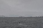 20111214_085558_6491