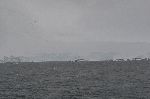 20111214_085715_6494