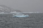 Icebergs in Cierva Cove