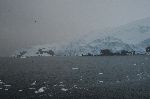 Sea Ice in Cierva Cove