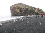 20111218_054006_7345