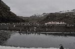 20111218_054340_7414