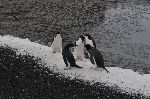 20111218_054351_7415
