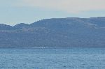 20111220_084452_7670