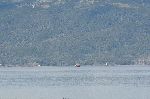 20111220_101645_7672