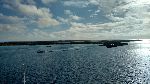 20170203_082209_408