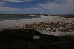 Beach at Port Stanley